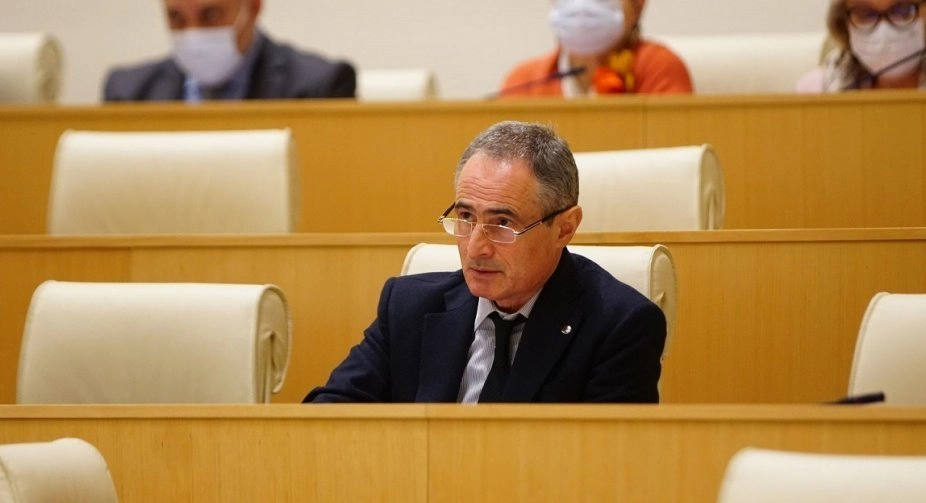 „ქართული ოცნების“ წევრებს შეეძლოთ, მხარდაჭერა გამოეხატათ რეზოლუციის ძირითადი ტექსტისთვის და მხარი არ დაეჭირათ მე-4 შესწორებისთვის -  შალვა შავგულიძე
