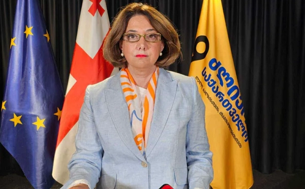 მინდა ვკითხო არალეგიტიმურ ხელისუფლებას, ევროკავშირი დაიწყებს მსჯელობას, როგორ შესრულდა პირობები, რა გაკეთდა, რა გაქვთ სთქმელი? - სალომე სამადაშვილი