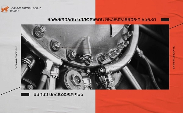 საქართველოს ბანკის ფინანსური მხარდაჭერით შპს "კაია"-მ ახალი საწარმოო ხაზი გახსნა 