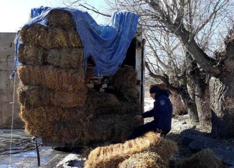 თივის პრესების ქვეშ პირველადი გადამუშავების პროდუქტი ფიცარი აღმოაჩინეს