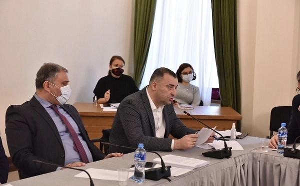 კომიტეტებმა სახელმწიფო ინსპექტორის სამსახურის გაუქმების ინიციატივას მხარი დაუჭირეს 