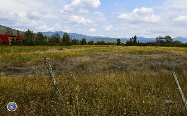 ყალბი დოკუმენტების დამზადება - გამოყენებით დიდი ოდენობით სახელმწიფო ქონების მოტყუებით დაუფლების ფაქტზე ორი პირი დააკავეს
