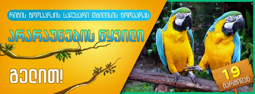 წყალდიდობის შემდეგ თბილისის ზოოპარკი საჩუქრად პირველ ცხოველებს მიიღებს