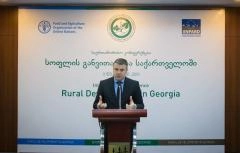  ოთარ დანელიამ სოფლის განვითარების ხედვა საჯარო განხილვისთვის წარმოადგინა