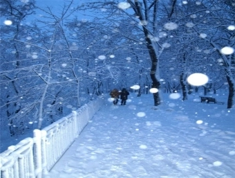 4 დეკემბერს ითოვებს