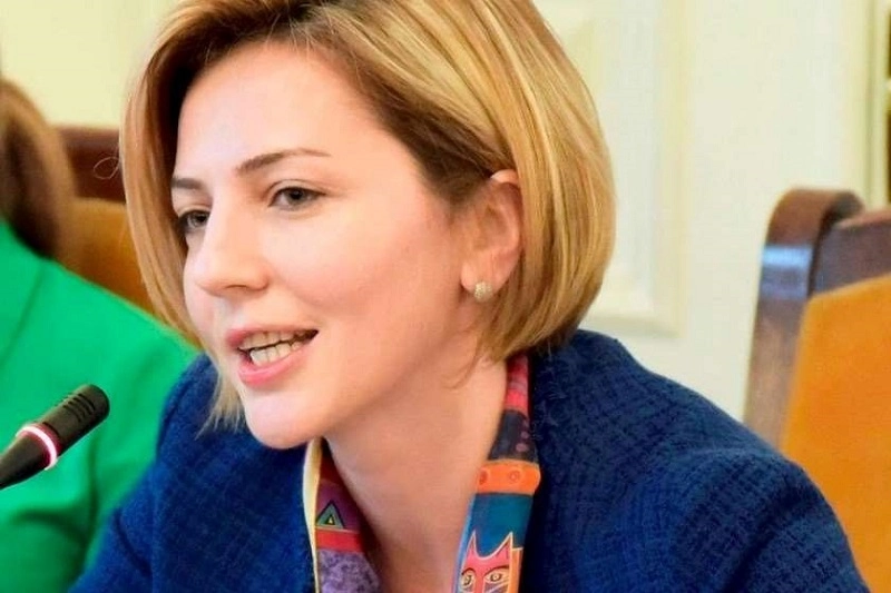 ჩემი გაწვევა საბჭოდან იქნება არაკონსტიტუნციური და პრეზიდენტის იმპიჩმენტის საფუძველი - ანა დოლიძე