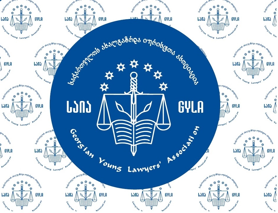 საია:  კაბელების საქმეზე სასამართლომ უკანონო, უსამართლო და დაუსაბუთებელი განაჩენი გამოიტანა