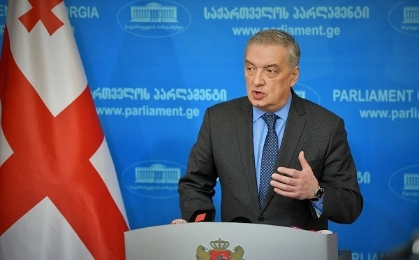 „ნაციონალური მოძრაობა“ გარკვეული პროვოკაციის დაგეგმვის მიზნით არის მობილიზებული და ეს არის მთავარი მიზეზი, რატომ არ არიან მისი წევრები დელეგაციაში - გია ვოლსკი