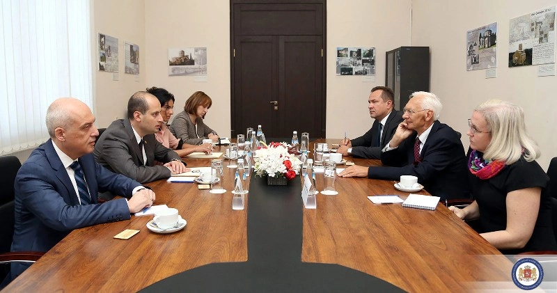 მიხეილ ჯანელიძის შეხვედრა OSCE/ODIHR საპარლამენტო არჩევნებზე დაკვირვების მისიასთან