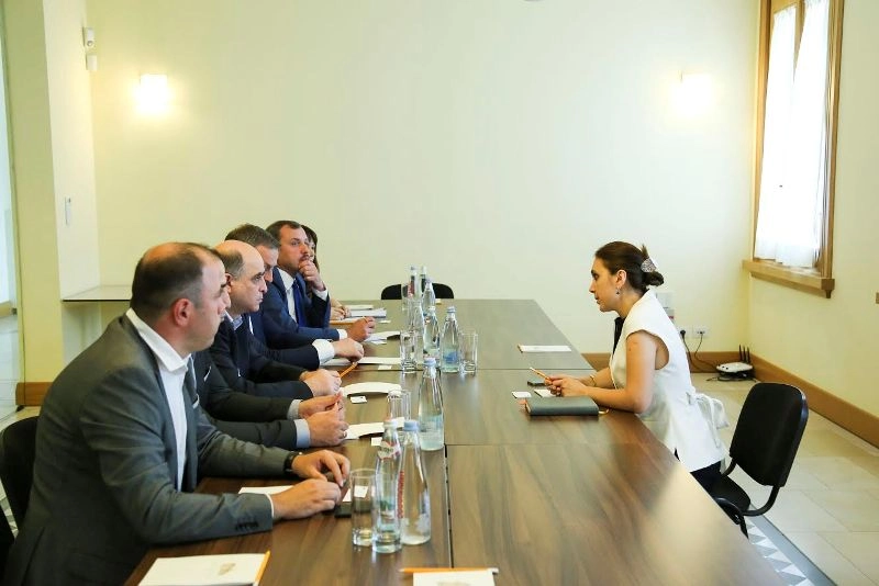 საქართველოს პრეზიდენტის ეკონომიკური მრჩევლის შეხვედრა ადგილობრივი და საერთაშორისო აუდიტორული კომპანიების წარმომადგენელებთან