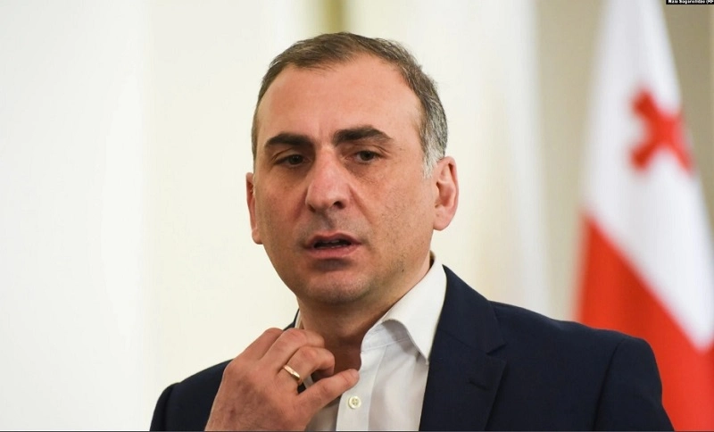 გაპოლიტიკოსებულმა ენჯეოშნიკებმა გადაწყვიტეს, მიტინგზე გადაეყენებინათ მთავრობა და თავები მინისტრებად გამოეცხადებინათ - ელისაშვილი