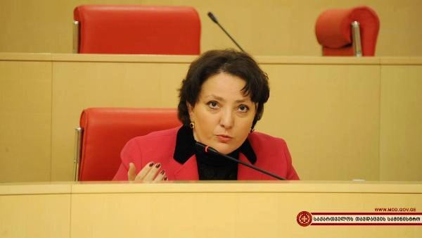 „ჩვენი ამოცანაა, შეიარაღებული ძალები სრულფასოვნად ვაქციოთ ნატოსთან თავსებად შეიარაღებულ ძალებად“ - თინათინ ხიდაშელი
