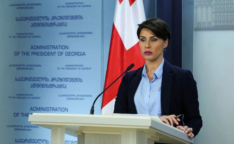აფგან მუხთარლის საქმემ საქართველოს საერთაშორისო იმიჯი მნიშვნელოვნად დააზიანა - ეკა მიშველაძე