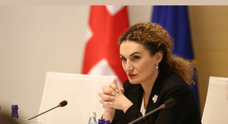 რა თქმა უნდა, პუტინი არის ოკუპანტი და მტერი  –  ქეთევან ციხელაშვილი 