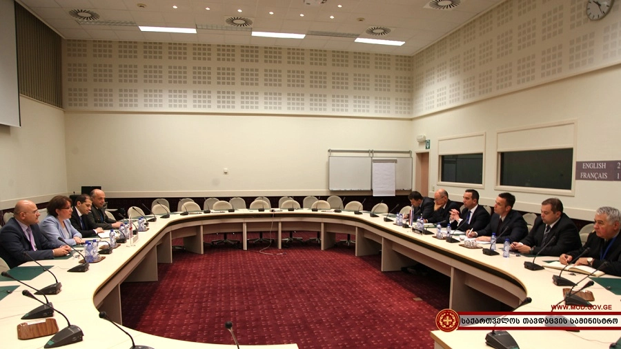 თავდაცვის მინისტრი პოლონელ და ხორვატ კოლეგებს შეხვდა