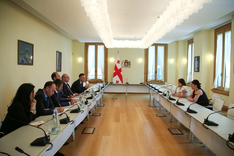 მაია მელიქიძე თურქ ბიზნესმენებსა და თურქეთის საელჩოს წარმომადგენლებს შეხვდა