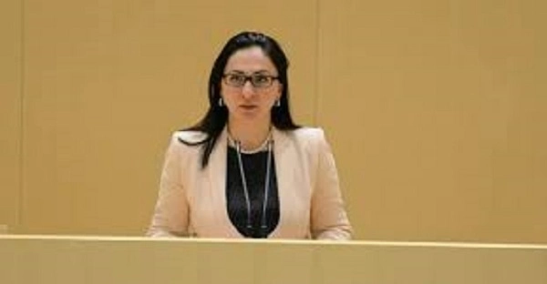 თუ „პალიტრა მედია ჰოლდინგში“ შემავალ მედიასაშუალებებს რაიმე შეზღუდვა იქნება,  ამის წინააღმდეგ ხმას პირველები ავიმაღლებთ - სოფო კილაძე