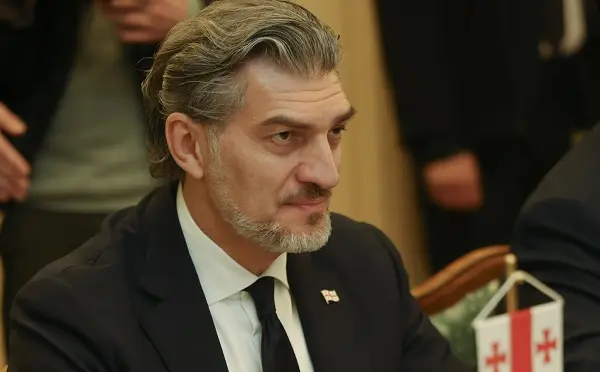 ჩვენმა საპარლამენტო დელეგაციამ ჯო უილსონს სათანადო პასუხი გასცა - მიხეილ ყაველაშვილი