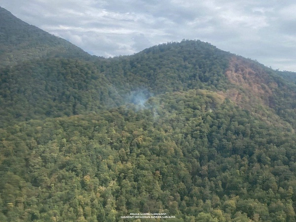 ყვარლის ტყეში ხანძარი ლოკალიზებულია 
