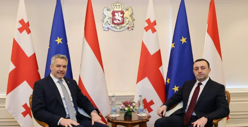 ეს არის პირველი ვიზიტი საქართველოში ავსტრიის კანცლერის და შეიძლება მას ისტორიული ვიზიტი ვუწოდოთ - ირაკლი ღარიბაშვილი