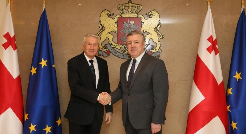 გიორგი კვირიკაშვილი ევროპის საბჭოს გენერალურ მდივანს შეხვდა