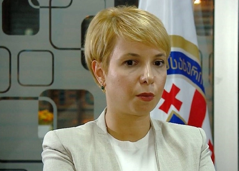 ნინო ლომჯარია პრესკონფერენციას გამართავს