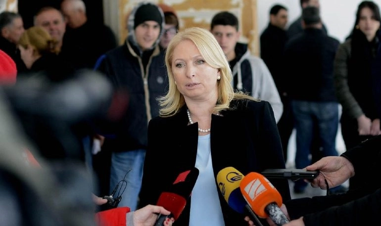 ანაკლიის პროექტს გააჩნია უპრეცედენტო მხარდაჭერა ხელისუფლებისგან - ნათია თურნავა