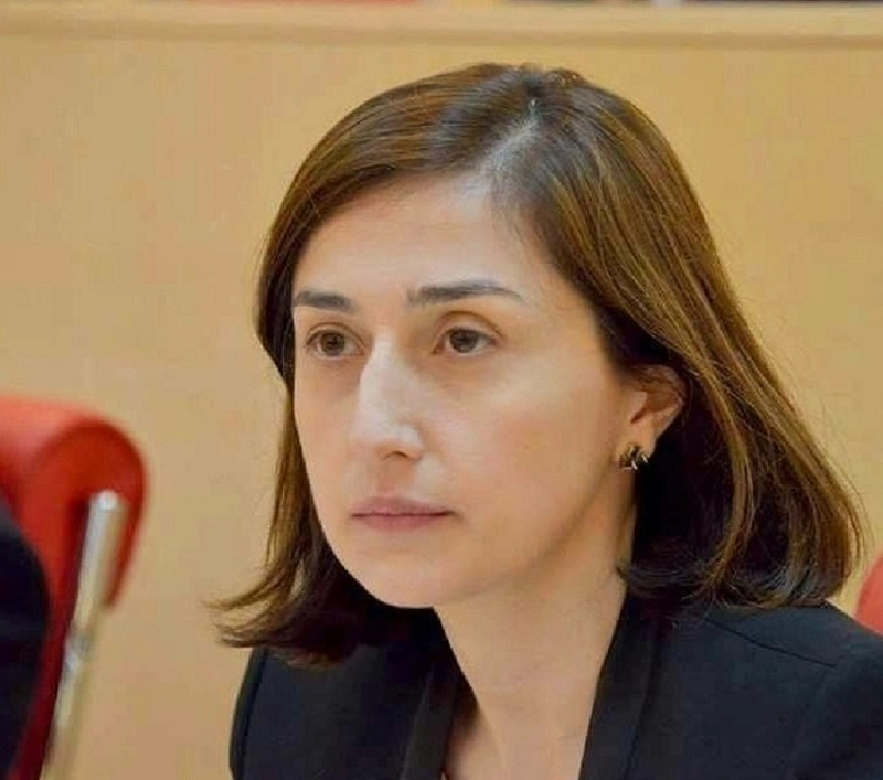 მოსამართლეების სიას იმ შემადგენლობით, რომელიც პარლამენტში შევიდა, საკანონმდებლო ორგანო არ მიიღებს - ნინო გოგუაძე