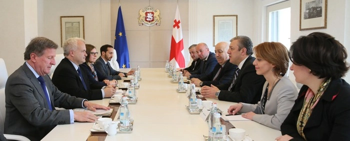პრემიერ–მინისტრი ევროპარლამენტის იურიდიულ საკითხთა კომიტეტის თავმჯდომარეს შეხვდა