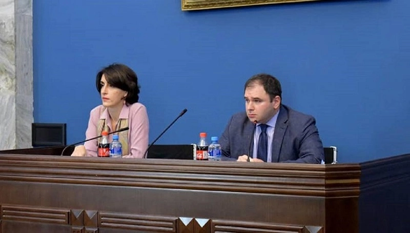 ნიკოლოზ სამხარაძე და მაკა ბოჭორიშვილი აშშ-ის კონგრესისა და სენატის არჩევნებს დააკვირდებიან