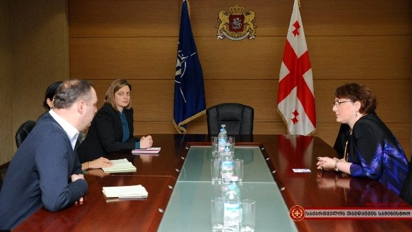 თინათინ ხიდაშელი HRW-ის წარმომადგენლებს შეხვდა