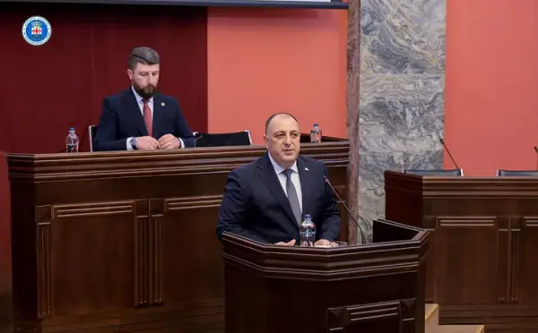 კორუფცია ყოველთვის იყო, არის და იქნება, ჩვენ ამას ვერ ამოვწურავთ - გიორგი გვარაკიძე