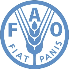 სურსათზე ფასები იზრდება