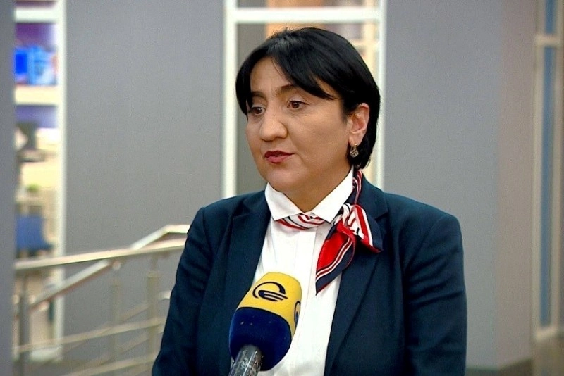 არცერთი თეთრი რუსეთის სახელმწიფოსგან ჩვენ არ მიგვიღია - ირმა ინაშვილი