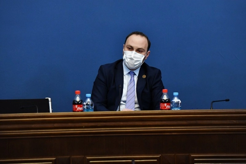 კომიტეტებმა მხარი დაუჭირეს ნიკა მელიასთვის იმუნიტეტის შეჩერებას