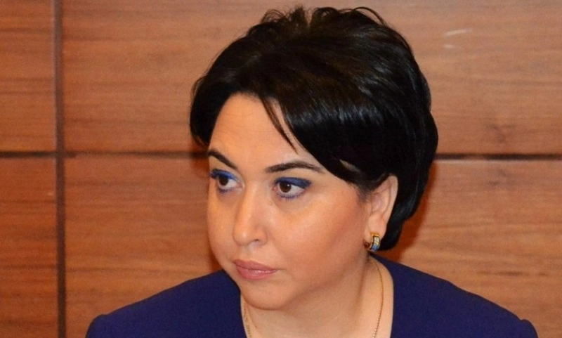 ვინ არის ნიკა გვარამია, რომ საზოგადოებიდან განდევნოს ის ადამიანები, რომლებიც სალომე ზურაბიშვილს მხარს უჭერენ - ეკა ბესელია