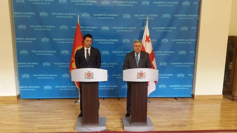  დავით უსუფაშვილი მონტენეგროს პარლამენტის თავმჯდომარე დარკო პაიოვიჩს შეხვდა