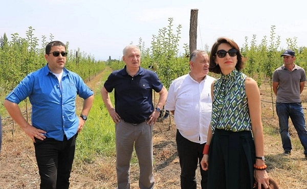 პაპუაშვილი, ვოლსკი და ბოჭორიშვილი საოკუპაციო ხაზთან იმყოფებოდნენ