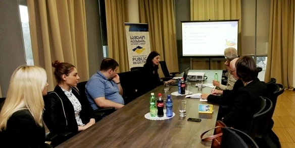 ამერიკელი პროფესორი ჯიმ რიდლი რეგისტრაციის ქართულ მოდელს გაეცნო