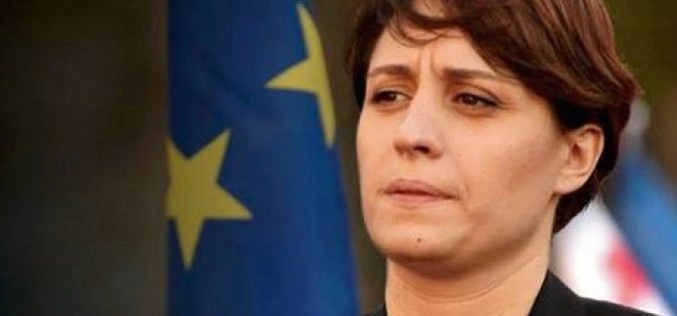 განათლების მინისტრი უნდა წავიდეს - ელენე ხოშტარია