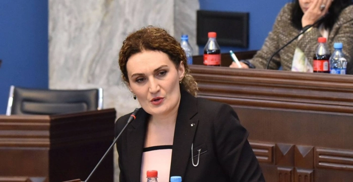 არ იყო გადაჭარბებული სიჩქარე და მოძრაობის დარღვევას ადგილი არ ჰქონია - ქეთევან ციხელაშვილი