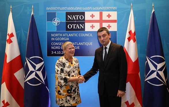 ნატო მტკიცედ უჭერს მხარს საქართველოში მიმდინარე დემოკრატიულ რეფორმებს - როუზ გოტმიოლერი 