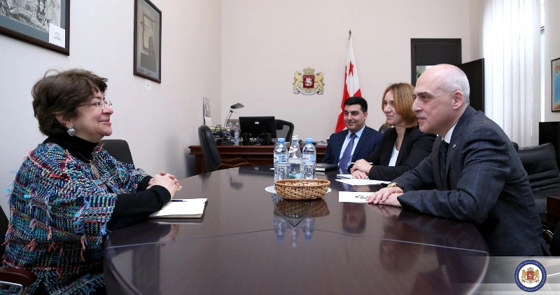 დავით ზალკალიანი საქართველოში გაერო-ს ბავშვთა ფონდის წარმომადგენელს შეხვდა