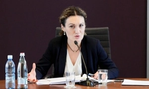 ჟენევის საერთაშორისო დისკუსიების  მონაწილეები არასამთავრობო ორგანიზაციებს შეხვდნენ 