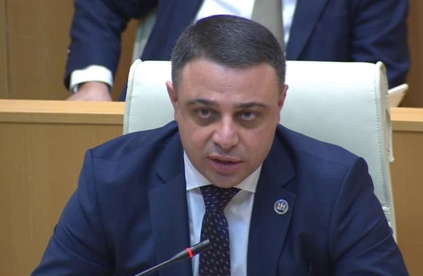 "ნაციონალური მოძრაობა" მილევად რეჟიმშია გადასული - ალუდა ღუდუშაური