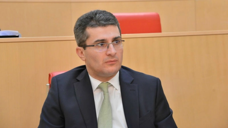 ეს ხანგრძლივი პროცესი პოზიტიური კანონის მიღებით დავასრულეთ - მამუკა მდინარაძე