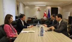 შს მინისტრის მოადგილეები გზების საერთაშორისო ფედერაციის პროგრამების დირექტორს შეხვდნენ