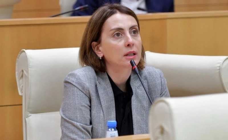 მინისტრი, რომელიც აქ მოვიდა არის სისხლის სამართლის დამნაშავე - ხატია დეკანოიძე რატი ბრეგაძეზე