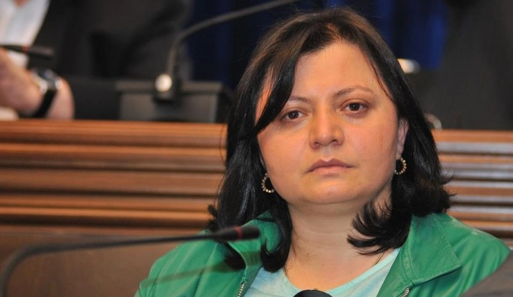 "გონება შეზღუდული ადამიანია, რომელსაც უჭირს სწორი დასკვნების გამოტანა" - ხერხეულიძე კალაძეზე