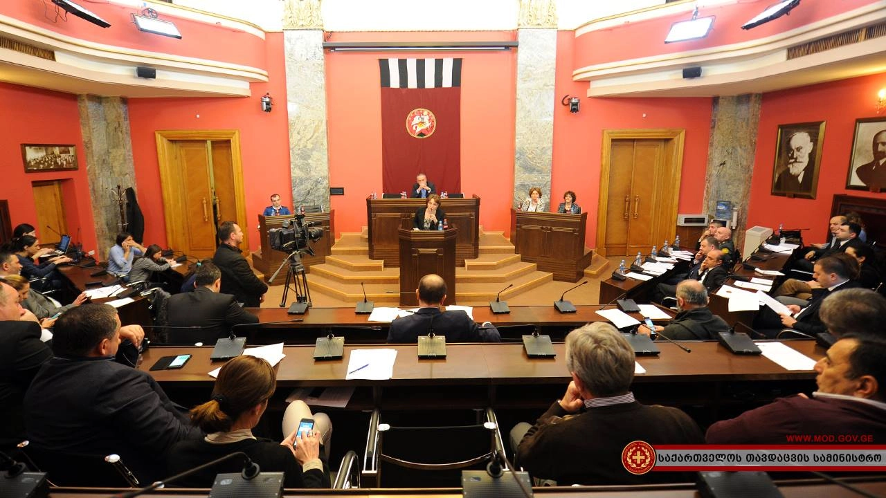 თინათინ ხიდაშელის ანგარიში თავდაცვისა და უშიშროების კომიტეტში 